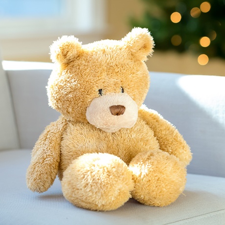 Child's teddy bear